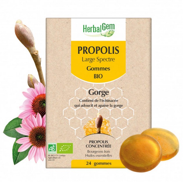 Herbalgem Propolis Large Spectre Gommes Gorge Bio 24 Gommes